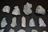 A lot of 20 x Mesolithic Portland flaked Chert Blades & Cores, Portland Bill, Dorset (N120)