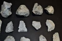 A lot of 20 x Mesolithic Portland flaked Chert Blades & Cores, Portland Bill, Dorset (N120)