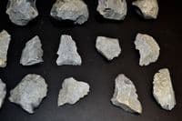 A lot of 20 x Mesolithic Portland flaked Chert Blades & Cores, Portland Bill, Dorset (N120)