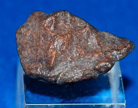 A nice chondrite (Stony) meteorite from Meteorite NWA 869, Algeria, North Africa. SOLD