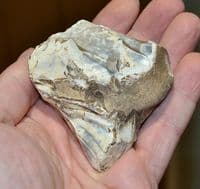 A nice, extremely early Lower Paleolithic 