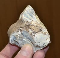 A nice, extremely early Lower Paleolithic 