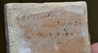 A nice group of 3 x Fossil leaf slabs, Eocene period, Italy, old collection pieces.