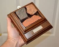 A nice group of Medieval decorative floor tile segments in a vintage frame, Staffordshire. SOLD