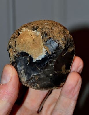 A nice Neolithic flint hammerstone from Great Barton, Suffolk.