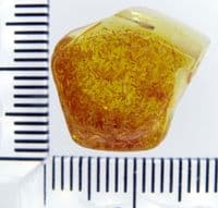 A nice piece of Baltic Amber (Fossilised Tree Resin) containing a small but beautifully preserved Moth. SOLD