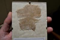 A nicely presented segment of linen wrapping from an Ancient Egyptian Mummy (K23) SOLD