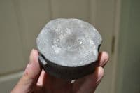 A pair of large Icthyosaur vertebrae from an old Yorkshire collection; found Whitby N.Yorks.