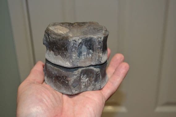 A pair of large Icthyosaur vertebrae from an old Yorkshire collection; found Whitby N.Yorks.