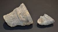 A pair of nice fossil Corals, cut and polished to show internal structures, Old UK collection. SOLD