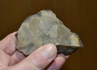A pleasant Palaeolithic (Neanderthal) flint flake knife tool, Lynford Quarry, Norfolk.