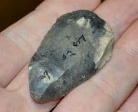 A pleasant Paleolithic (Neanderthal) 