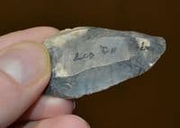 A pleasant Paleolithic (Neanderthal) 