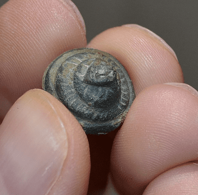 A pleasant Roman domed bronze stylised 