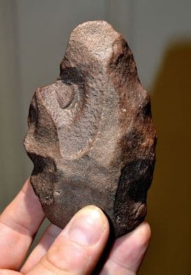 A rare and extremely Early Paleolithic (Homo Erectus) Handaxe from Algeria, North Africa