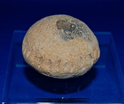 A rare and very large Bronze age pottery Spindle Whorl excavated in Holland. SOLD