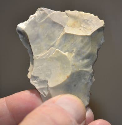A rare and very large Early Neolithic 