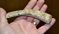 A rare Anglo Saxon carved and decorated bone knife handle, Ipswich, Old Collection. SOLD