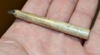 A rare Anglo Saxon carved bone knife handle, Ipswich, Old Collection. SOLD