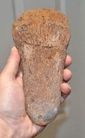 A  Rare, complete, Pliosaur Propodial limb bone (paddle) Jurassic, Kimmeridgian, Dorset (N81) SOLD