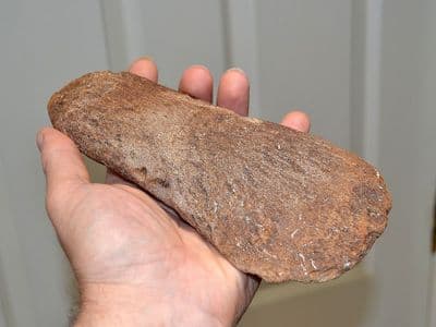A  Rare, complete, Pliosaur Propodial limb bone (paddle) Jurassic, Kimmeridgian, Dorset (N81) SOLD