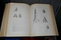 A Rare First Edition of 