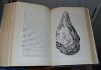 A Rare First Edition of 