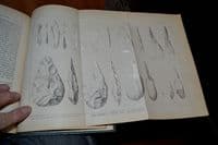 A Rare First Edition of 