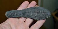 A rare leather sole from a Tudor Period Childs shoe, Wapping, London. SOLD