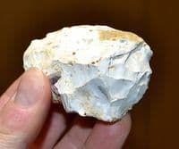 A rare Mesolithic 