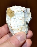 A rare Mesolithic 
