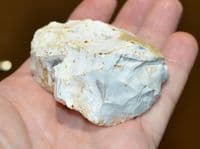 A rare Mesolithic 