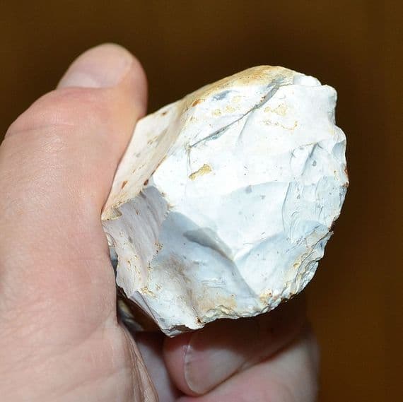 A rare Mesolithic 