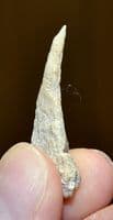 A rare Neolithic carved bone awl (Ghassulian Culture) Teleilat el-Ghassul, Jordan. SOLD