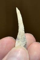A rare Neolithic carved bone awl (Ghassulian Culture) Teleilat el-Ghassul, Jordan. SOLD