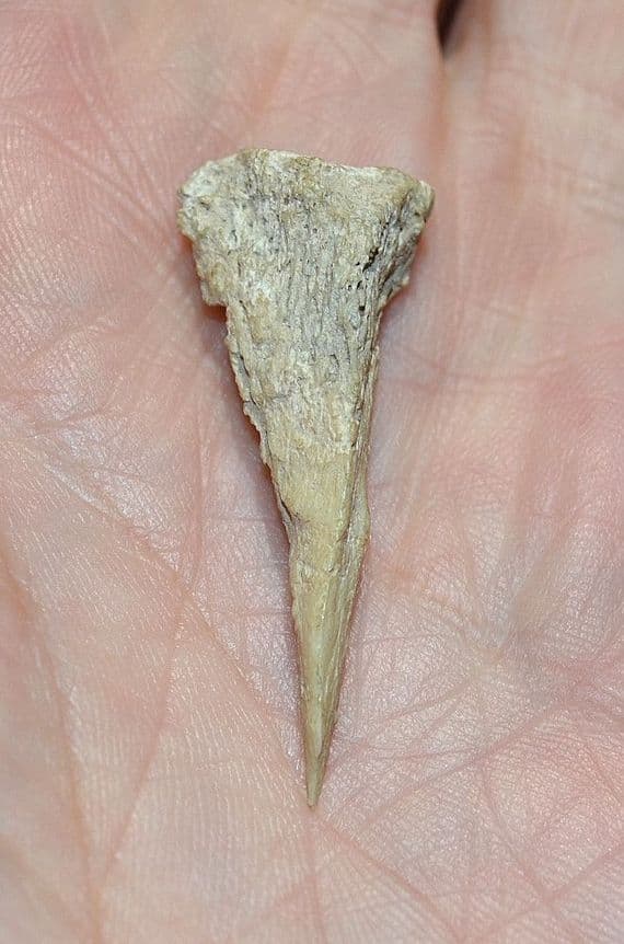 A rare Neolithic carved bone awl (Ghassulian Culture) Teleilat el-Ghassul, Jordan. SOLD
