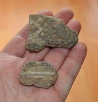 A rare pair of Neolithic pottery shards, Dordogne, France. Ex.Old French Collection. SOLD
