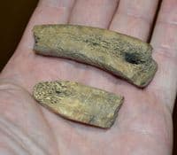 A rare pair of partial Anglo Saxon carved bone knife handles, Ipswich, Old Collection. SOLD