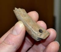 A rare pair of partial Anglo Saxon carved bone knife handles, Ipswich, Old Collection. SOLD