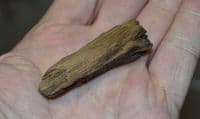 A rare piece of Bronze Age wood from site of an Ancient boat excavation, East Yorkshire (K5)