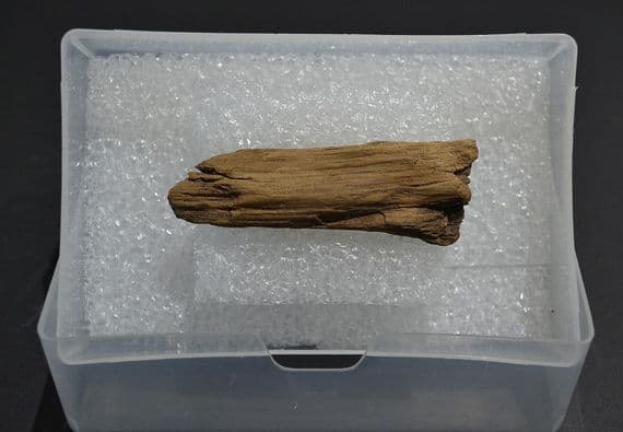 A rare piece of Bronze Age wood from site of an Ancient boat excavation, East Yorkshire (K5)