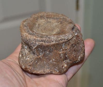 A  Rare Plesiosaur neck vertebrae, Jurassic Period, Kimmeridgian, Dorset (N72) SOLD