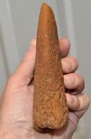 A  Rare Pliosaur Propodial limb bone (paddle) Jurassic Period, Kimmeridgian, Dorset (N70) SOLD