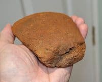 A  Rare Pliosaur Propodial limb bone (paddle) Jurassic Period, Kimmeridgian, Dorset (N70) SOLD