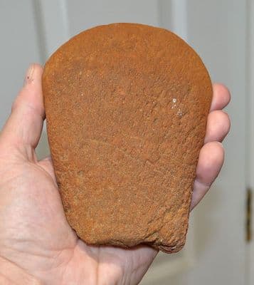 A  Rare Pliosaur Propodial limb bone (paddle) Jurassic Period, Kimmeridgian, Dorset (N70) SOLD