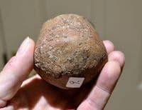A rare small Bronze age clay pot or cup excavated in Germany, SOLD
