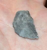 A rare upper Mesolithic