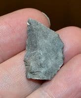 A rare upper Mesolithic