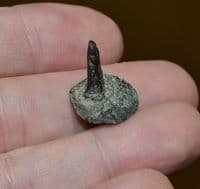 A Roman bronze circular decorative bronze stud, Barnes area of River Thames, London. SOLD