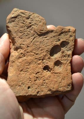 A Roman terracotta roof tile fragment from the River Thames, London, featuring a dogs paw print impression. SOLD
